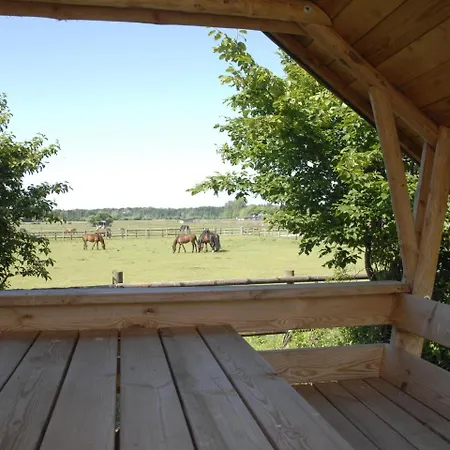 Ferienwohnung Auf Einem Reiterhof Ribnitz-Damgarten